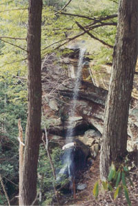 A tranquil waterfall, one of the many natural wonders of Red River Gorge in Menifee County, Kentucky.